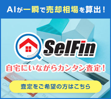 SelFin セルフィン