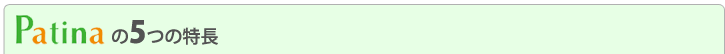 Patina(パティーナ)の5つの特長